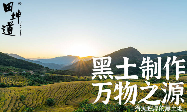 种植诠释绿色餐桌新理念AG真人田坤道：天然(图1)