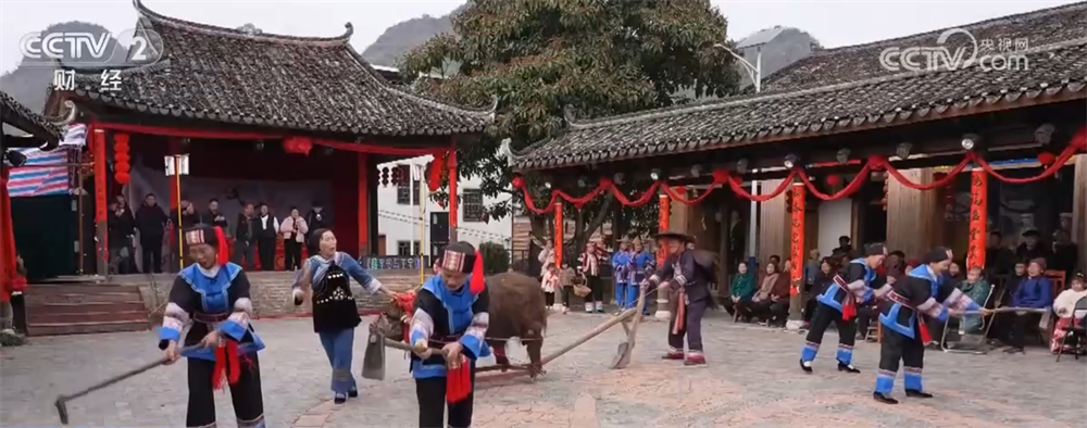 春……雨水时节 迎接春天的“仪式感”拉满AG真人国际游戏地米菜尝鲜、“耍春牛”闹