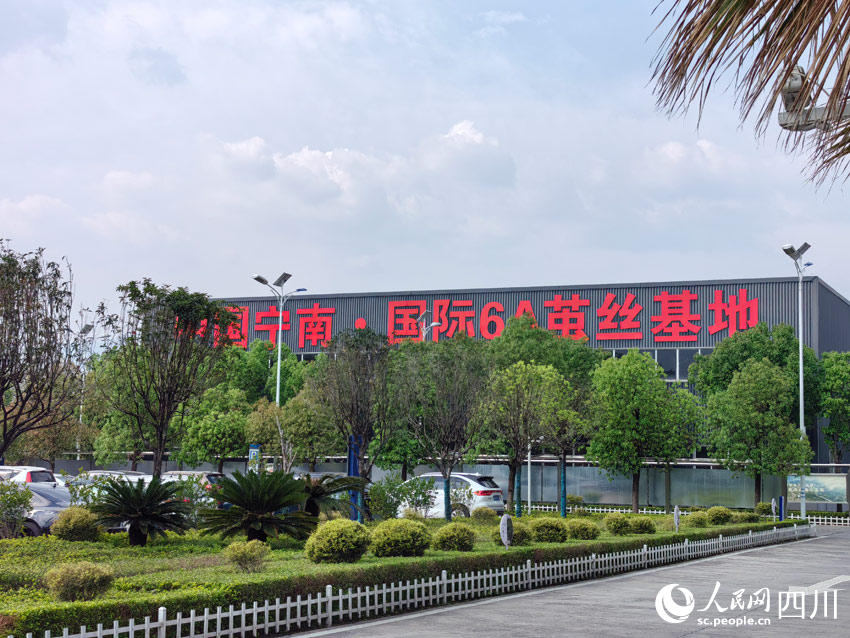 路”：盯住小桑叶发展大思路AG真人娱乐南丝路上“南丝(图6)